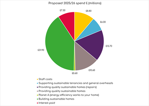 We will spend 41% of our total income on building sustainable homes, 17% on repairing your homes, 14% on providing quality sustainable homes including energy efficiency works (new windows, wall insulation, heating, new kitchens, and bathrooms etc), 8% on supporting sustainable tenancies, digital services, and general overheads. We plan to spend 11% of our income on employee costs to deliver the above services, and the final 9% is to be used to pay the interest on our loans.