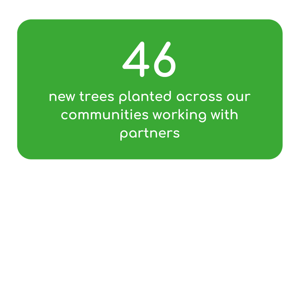 46 New Trees Planted Across Our Communities Working With Partners
