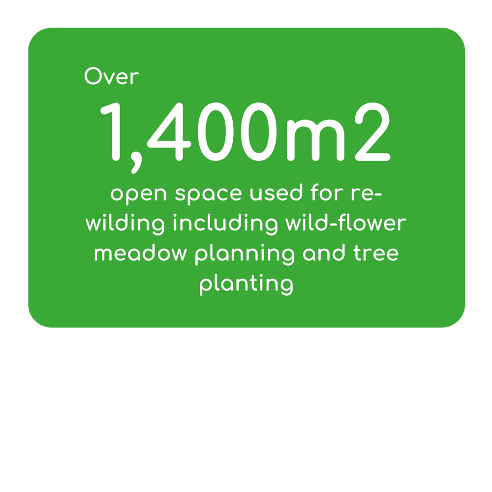 Over 1,400m2 Open Space Used For Re Wilding Including Wild Flower Meadow Planning And Tree Planting