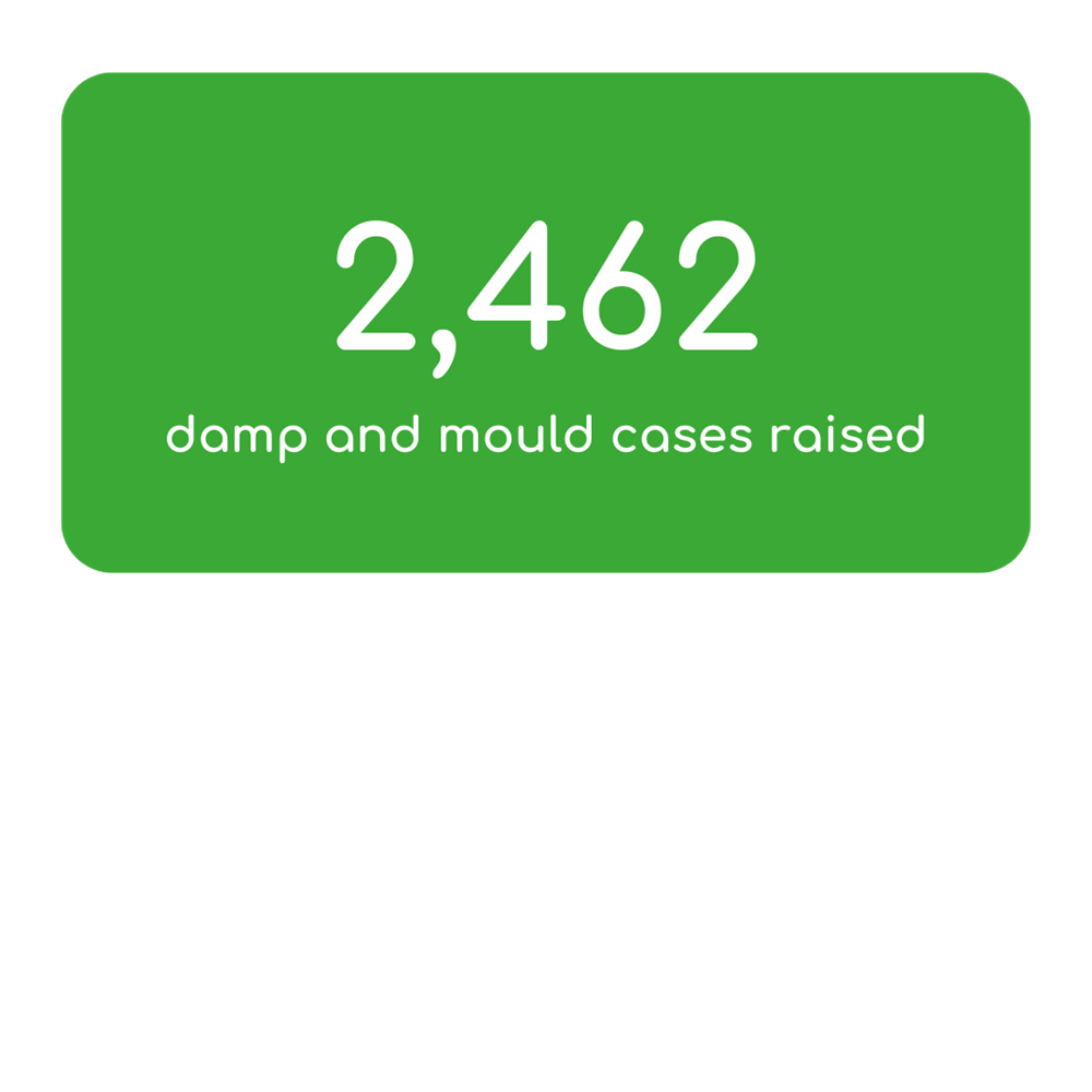 2462 Damp And Mould Cases Raised