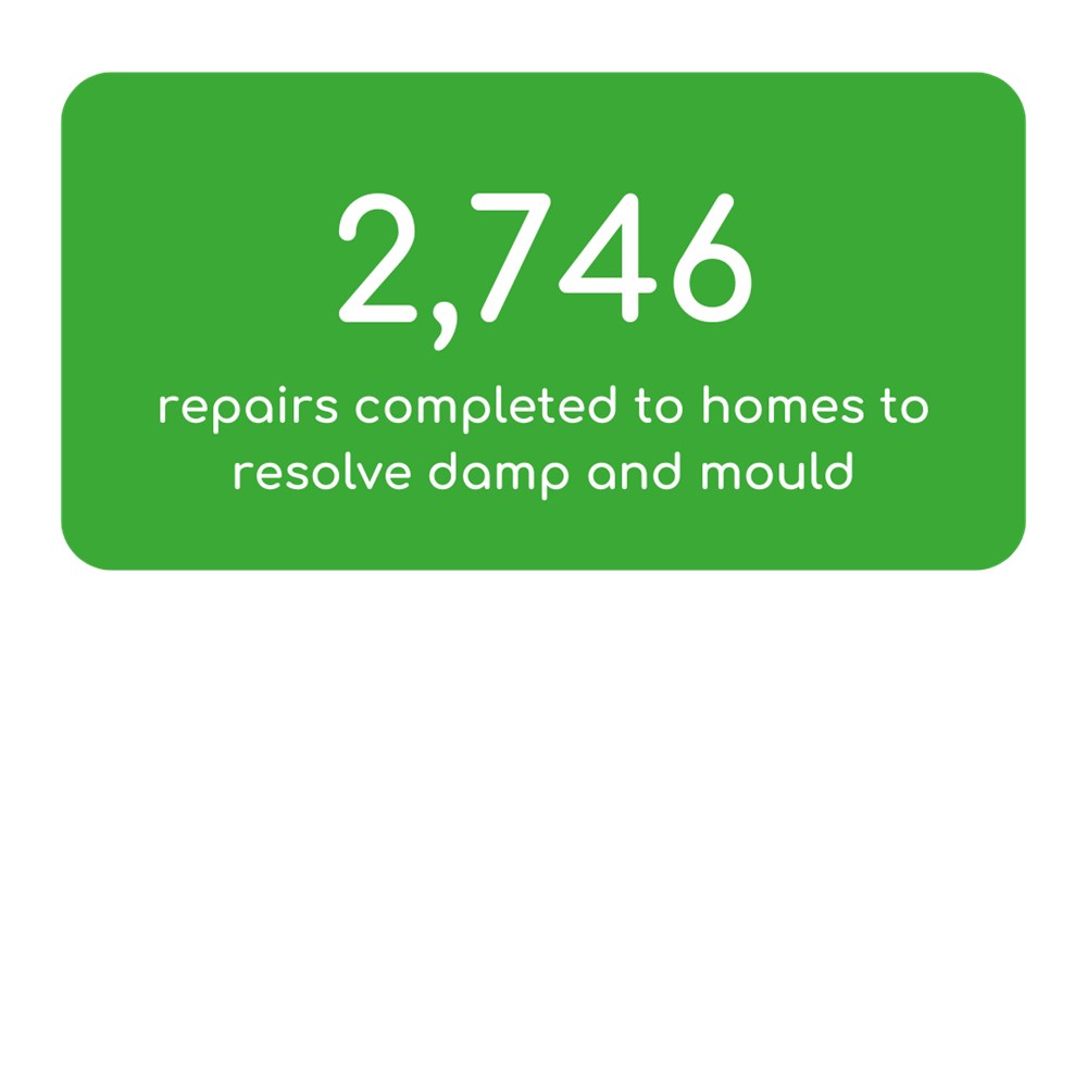 2746 Repairs Completed To Homes To Resolve Damp And Mould