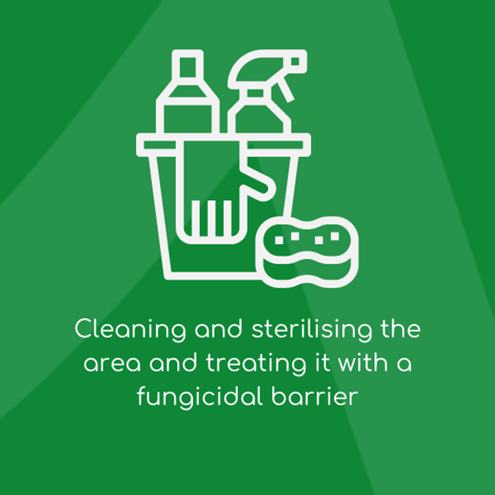 Cleaning And Sterilising The Area And Treating It With A Fungicidal Barrier